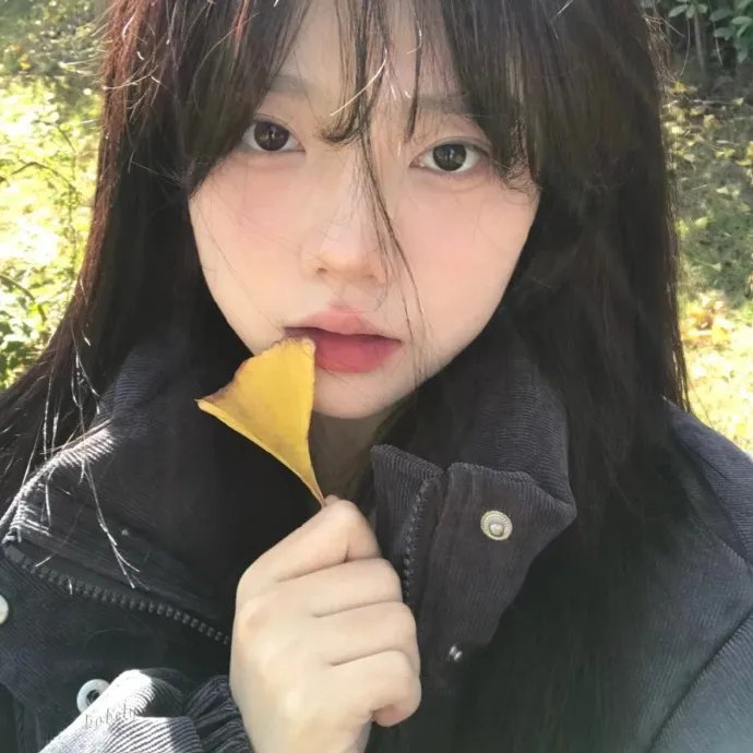 蝙蝠女侠第一季